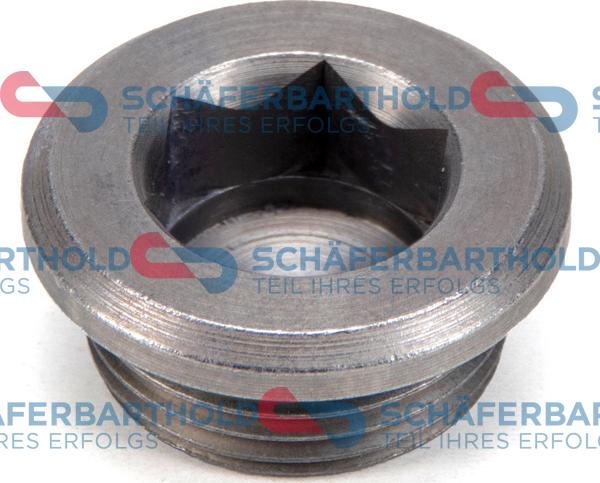 Schferbarthold 100 02 095 01 11 - Пробка, диференциал vvparts.bg