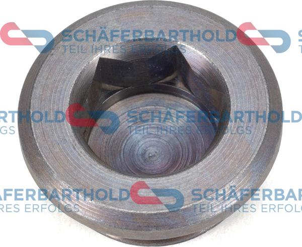 Schferbarthold 100 02 193 01 22 - Пробка, диференциал vvparts.bg