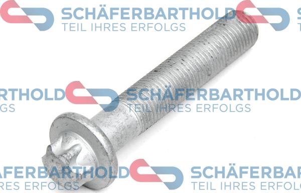 Schferbarthold 100 16 319 01 11 - Болт на ремъчна шайба vvparts.bg