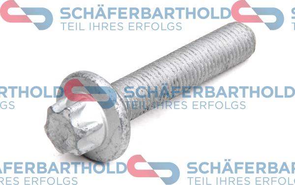 Schferbarthold 100 16 320 01 11 - Болт на ремъчна шайба vvparts.bg