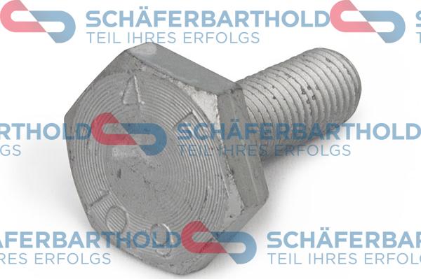 Schferbarthold 100 18 314 01 11 - Болт, зъбно колело-разпред. вал vvparts.bg