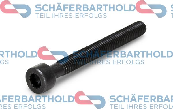 Schferbarthold 100 18 310 01 11 - Болт, дюьодържач vvparts.bg