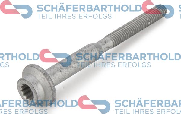 Schferbarthold 100 18 254 01 11 - Болт, дюьодържач vvparts.bg