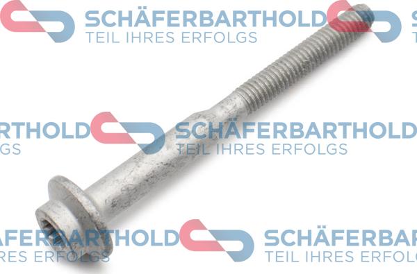 Schferbarthold 395 18 013 01 22 - Болт, дюьодържач vvparts.bg