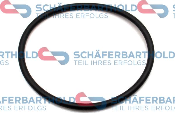 Schferbarthold 395 18 012 01 22 - Уплътнителен пръстен, маслена цедка vvparts.bg