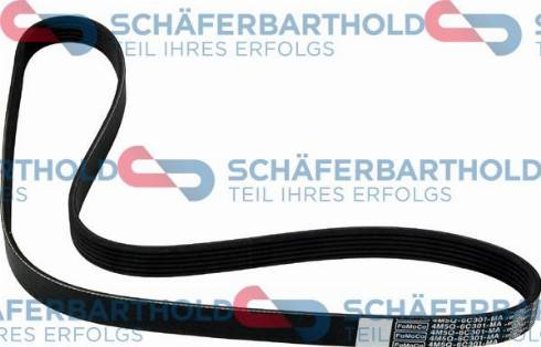 Schferbarthold 300 06 874 01 11 - Пистов ремък vvparts.bg