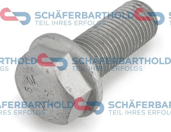 Schferbarthold 319 18 002 01 22 - Винт, спирачен апарат vvparts.bg