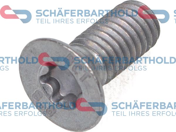 Schferbarthold 315 18 429 01 11 - Винт, спирачен диск vvparts.bg