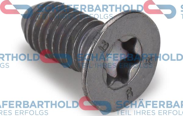 Schferbarthold 315 27 048 01 22 - Винт, спирачен диск vvparts.bg