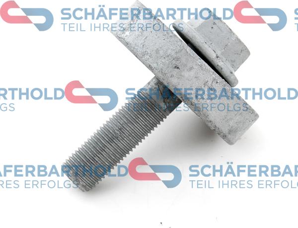 Schferbarthold 310 28 696 01 11 - Болт на ремъчна шайба vvparts.bg