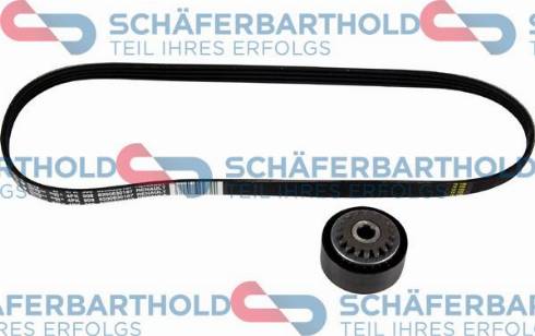 Schferbarthold 310 28 626 01 11 - Комплект пистов ремък vvparts.bg