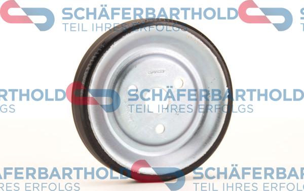 Schferbarthold 310 27 574 01 11 - Ремъчна шайба, водна помпа vvparts.bg