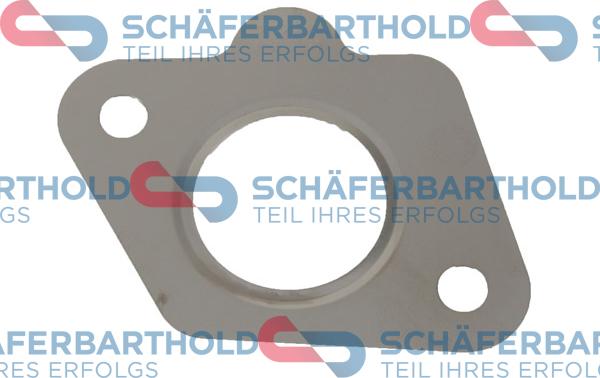 Schferbarthold 313 06 968 01 11 - Уплътнение, AGR-клапан vvparts.bg