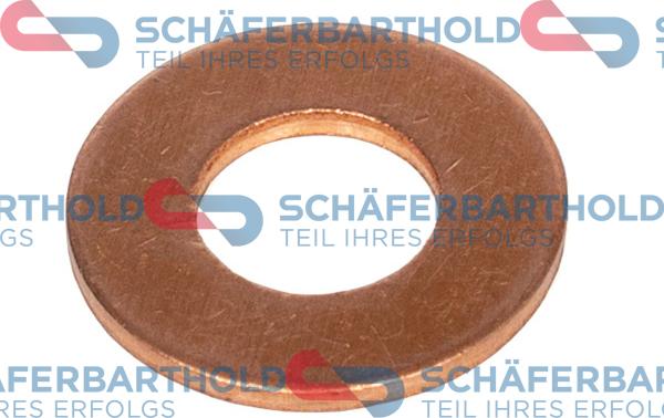 Schferbarthold 313 06 060 01 11 - Уплътнителен пръстен, пробка за източване на маслото vvparts.bg