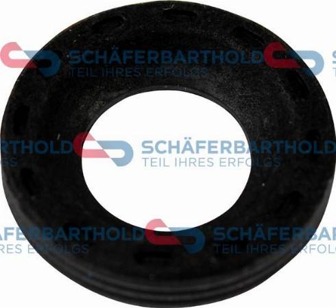 Schferbarthold 313 06 061 01 11 - Уплътнителен пръстен, впръсквателен клапан vvparts.bg