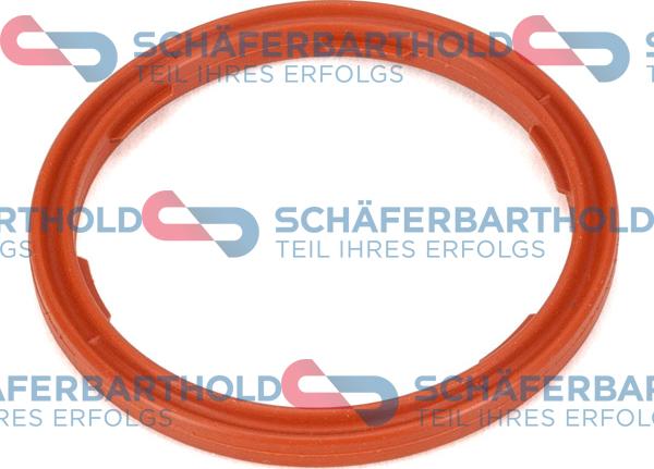 Schferbarthold 313 02 369 01 22 - Уплътнител, датчик за ниво на маслото vvparts.bg