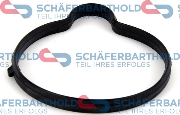 Schferbarthold 313 16 996 01 11 - Уплътнение, термостат vvparts.bg