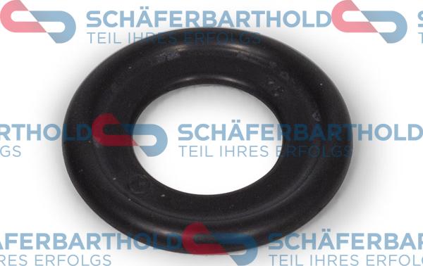 Schferbarthold 313 16 068 01 11 - Уплътнителен пръстен, пробка за източване на маслото vvparts.bg