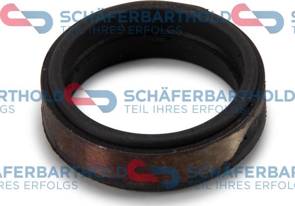 Schferbarthold 313 16 079 01 22 - Уплътнение, дюзодържач vvparts.bg