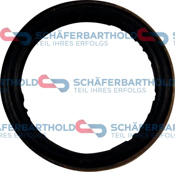 Schferbarthold 313 16 074 01 11 - Уплътнение, дюзодържач vvparts.bg