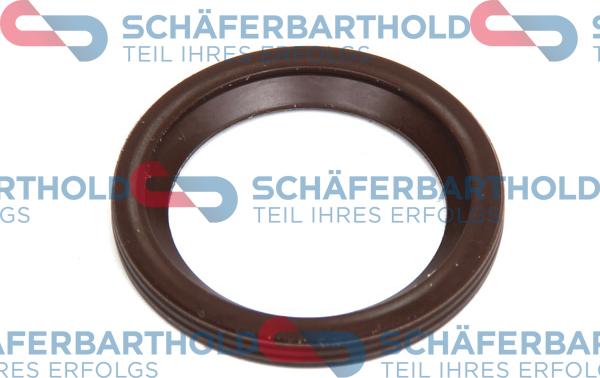 Schferbarthold 313 16 076 01 11 - Уплътнение, дюзодържач vvparts.bg