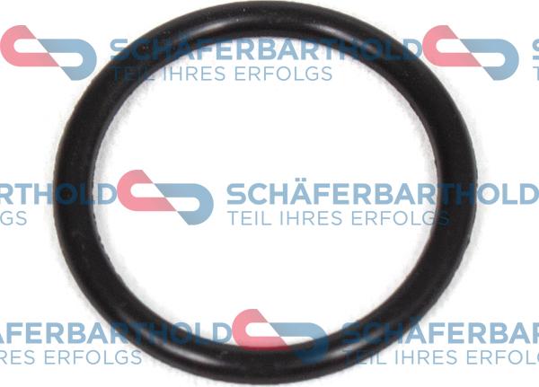 Schferbarthold 313 16 071 01 11 - Уплътнителен пръстен, пробка за източване на маслото vvparts.bg