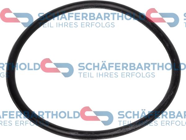 Schferbarthold 313 18 103 01 11 - Уплътнителен пръстен, маслена цедка vvparts.bg