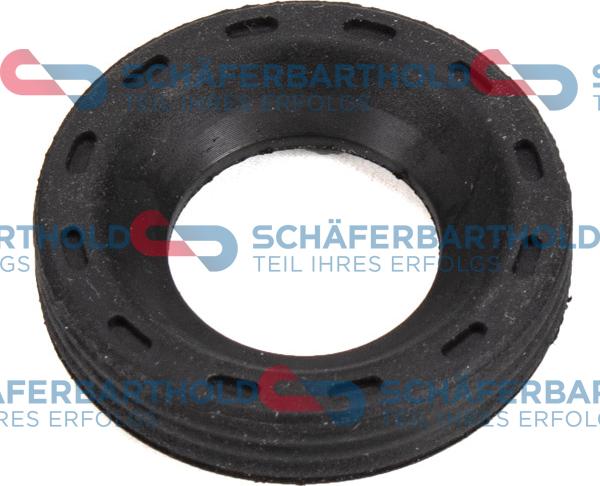 Schferbarthold 313 38 001 01 11 - Уплътнителен пръстен, впръсквателен клапан vvparts.bg