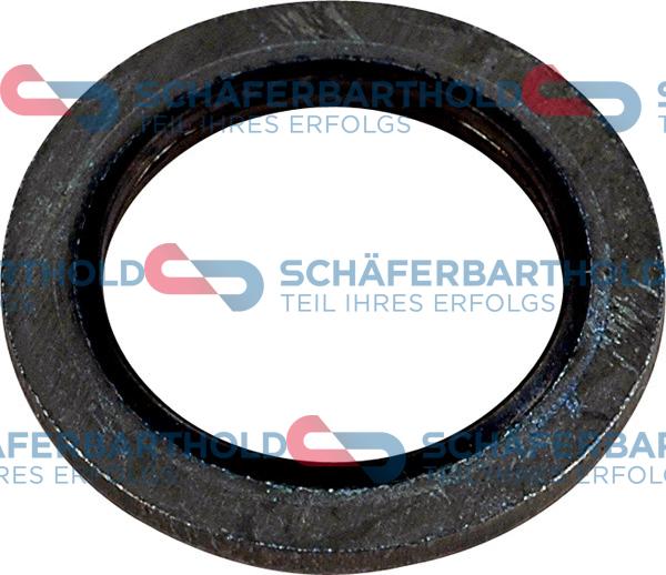 Schferbarthold 313 28 062 01 11 - Уплътнителен пръстен, пробка за източване на маслото vvparts.bg
