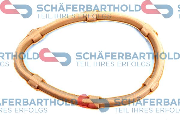 Schferbarthold 313 28 073 01 11 - Уплътнение, всмукателен колектор vvparts.bg