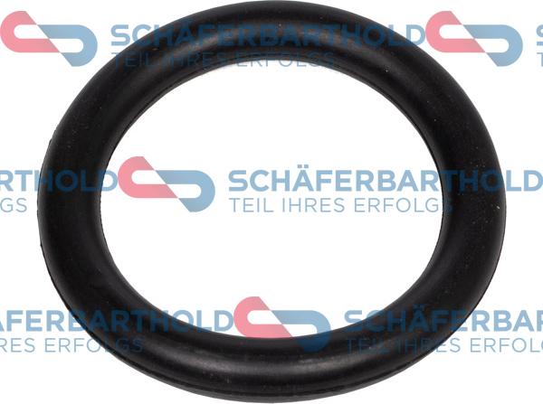 Schferbarthold 313 27 909 01 11 - Уплътнение, всмукателен колектор vvparts.bg