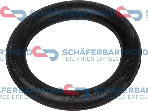 Schferbarthold 313 27 910 01 11 - Уплътнение, всмукателен колектор vvparts.bg