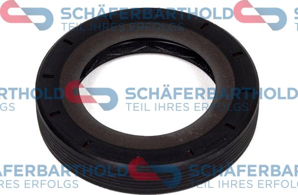 Schferbarthold 313 27 403 01 11 - Семеринг, диференциал vvparts.bg