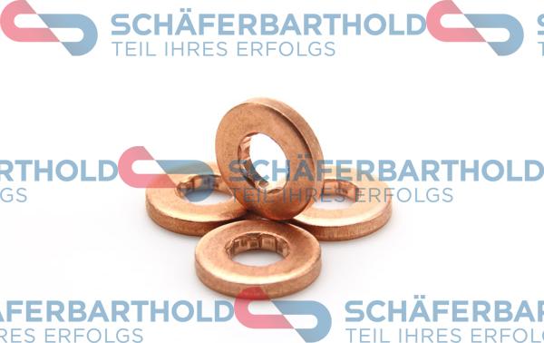 Schferbarthold 313 27 593 01 11 - Уплътнение, дюзодържач vvparts.bg