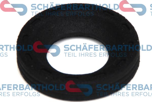 Schferbarthold 313 27 584 01 11 - Уплътнителен пръстен, впръсквателен клапан vvparts.bg