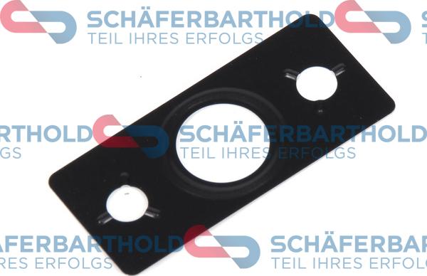 Schferbarthold 313 27 003 01 11 - Уплътнение, изходящ отвор на маслото (турбина) vvparts.bg