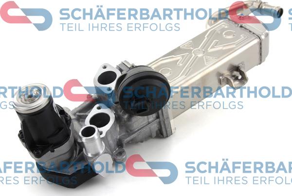 Schferbarthold 312 18 384 01 11 - AGR-Клапан vvparts.bg