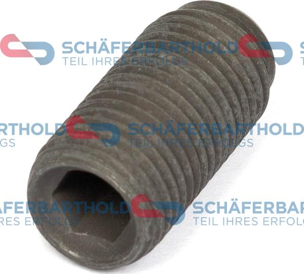 Schferbarthold 317 18 775 01 11 - Болт за настройка, ГНП vvparts.bg