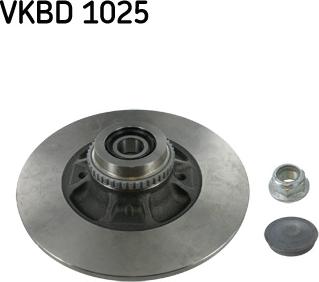 SKF VKBD 1025 - Спирачен диск vvparts.bg