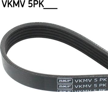 SKF VKMV 5PK1138 - Пистов ремък vvparts.bg