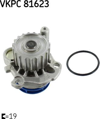 SKF VKPC 81623 - Водна помпа vvparts.bg