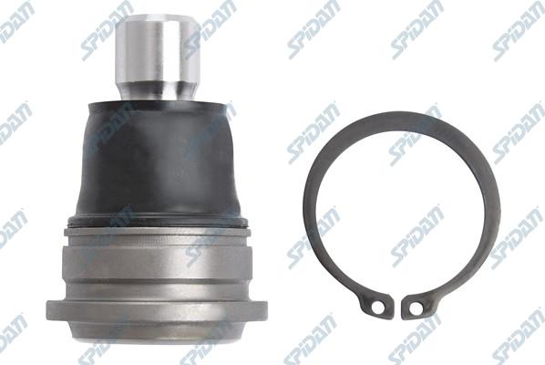 SPIDAN CHASSIS PARTS 50496 - Шарнири vvparts.bg