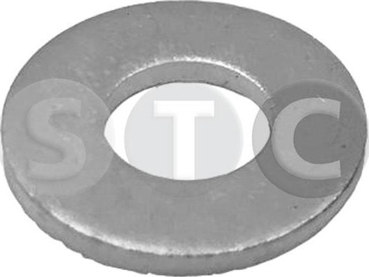 STC T439463 - Уплътнителен пръстен, впръсквателен клапан vvparts.bg
