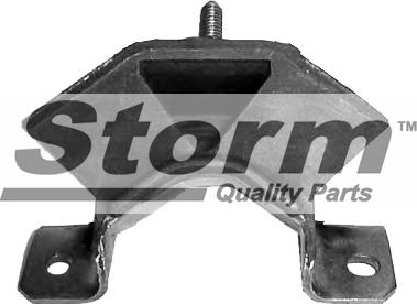 Storm F0389 - Окачване, двигател vvparts.bg