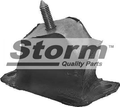 Storm F0388 - Окачване, двигател vvparts.bg