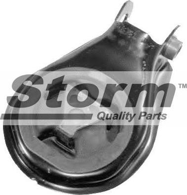 Storm F10206 - Окачване, двигател vvparts.bg