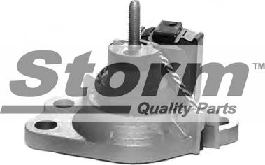 Storm F2548 - Окачване, двигател vvparts.bg