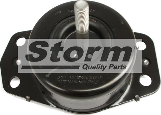 Storm F2509 - Окачване, двигател vvparts.bg