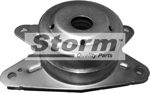 Storm F2801 - Окачване, двигател vvparts.bg