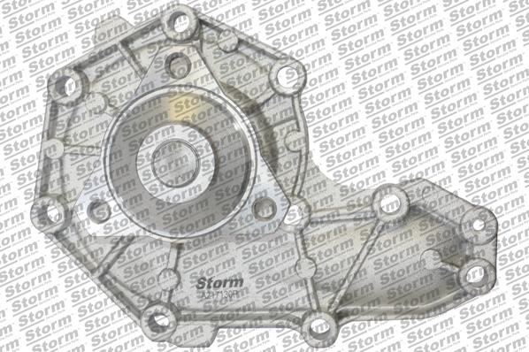 Storm RST179 - Водна помпа vvparts.bg